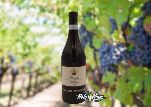 Langhe Nebbiolo DOC