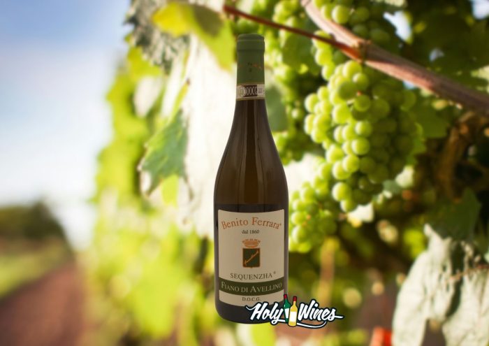 Sequenzha Fiano di Avellino